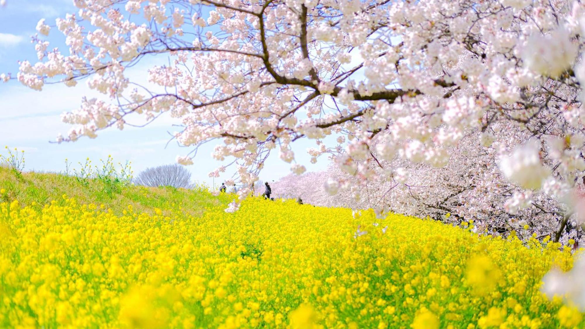 Toyoko Inn Kumagaya Eki Kita Guchi ภายนอก รูปภาพ